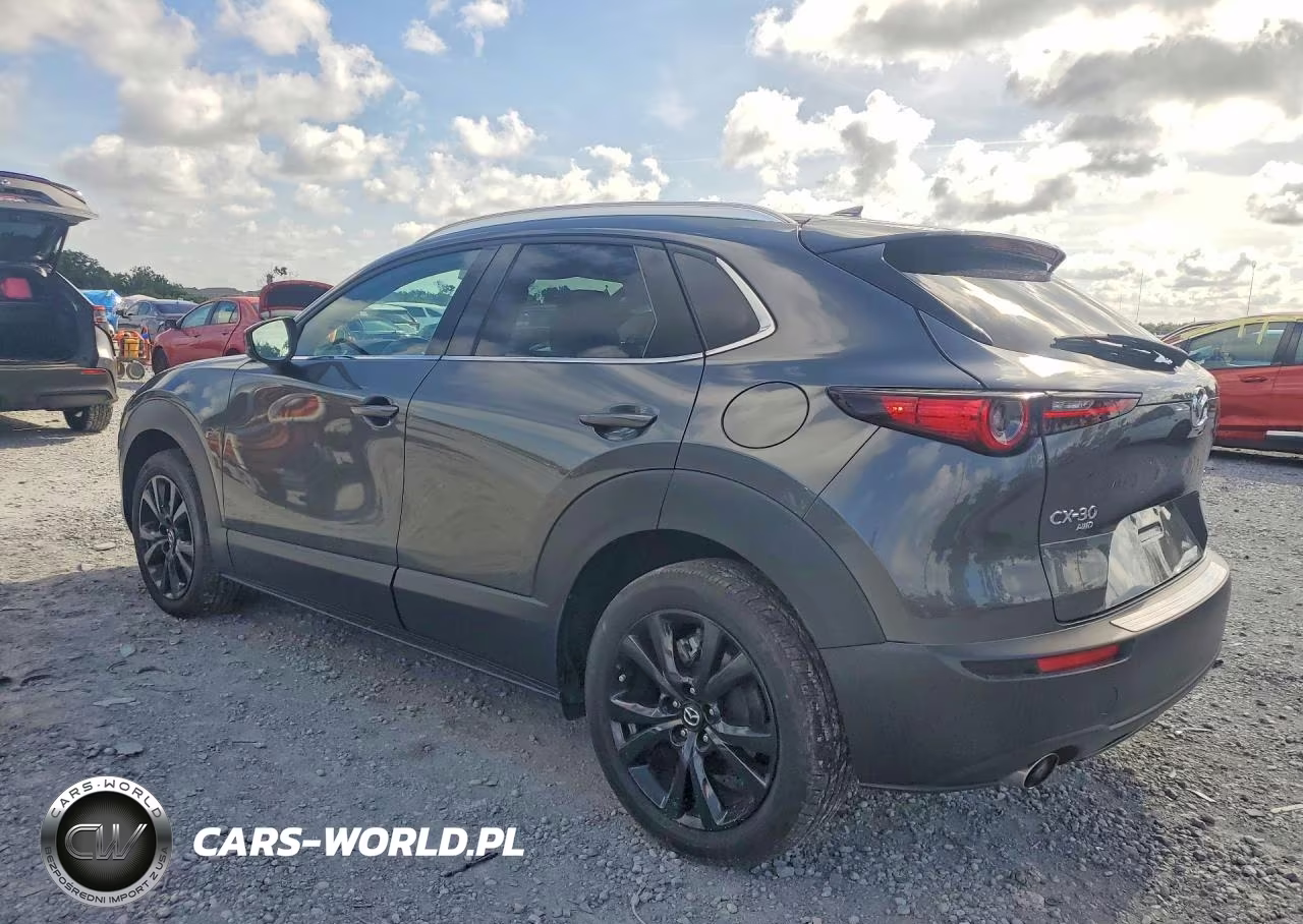 2023 Mazda Cx-30 Premium VIN:3MVDMBDY0PM508427 - 2