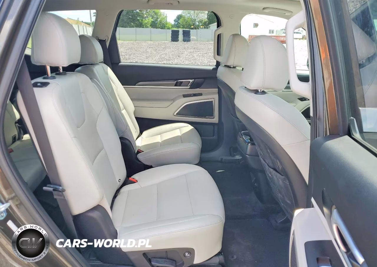 2020 Kia Telluride S VIN:5XYP6DHC5LG007513 - 11