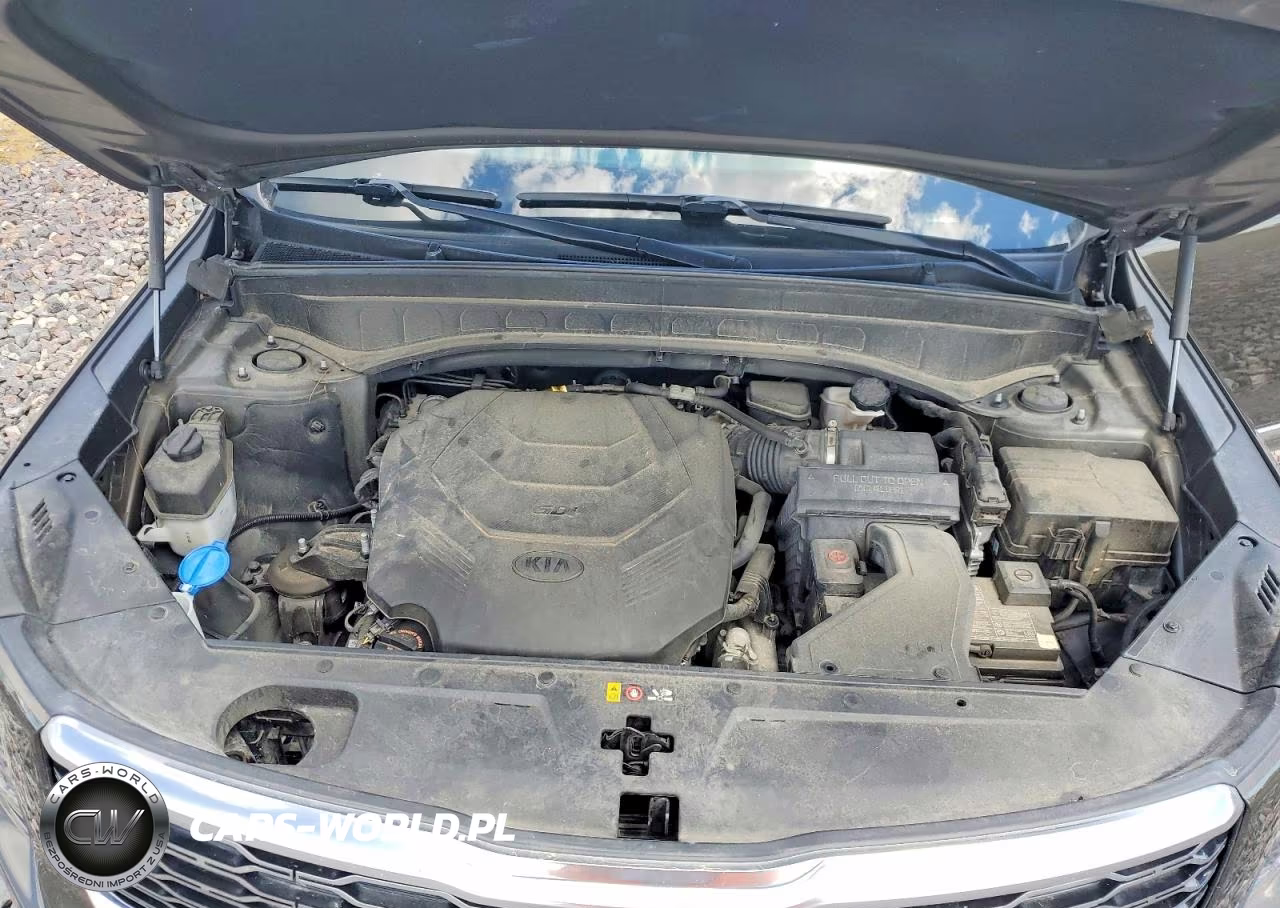 2020 Kia Telluride S VIN:5XYP6DHC5LG007513 - 12