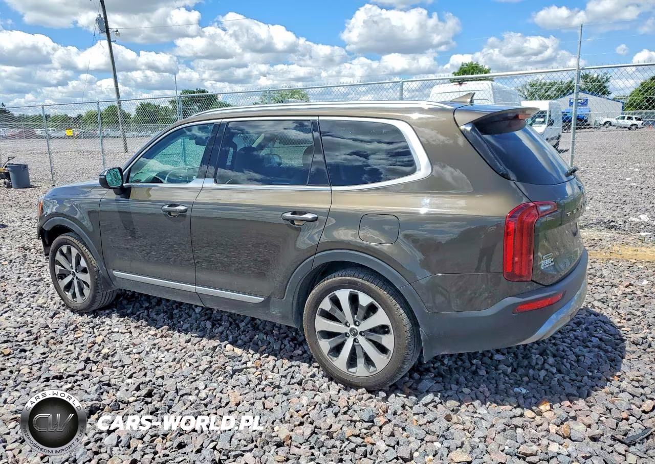 2020 Kia Telluride S VIN:5XYP6DHC5LG007513 - 2