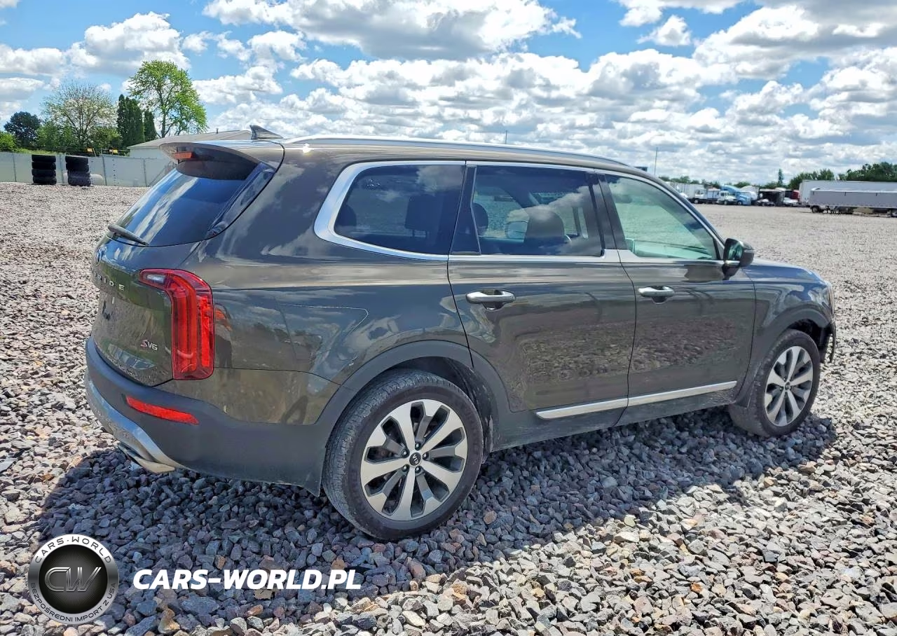 2020 Kia Telluride S VIN:5XYP6DHC5LG007513 - 3