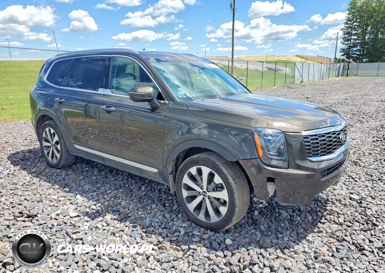 2020 Kia Telluride S VIN:5XYP6DHC5LG007513 - 4