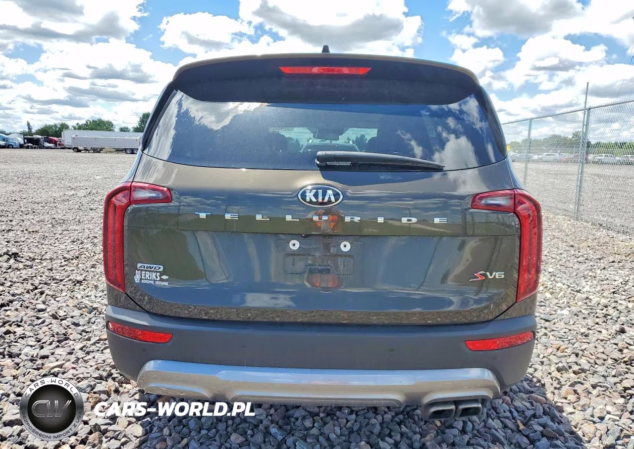 2020 Kia Telluride S VIN:5XYP6DHC5LG007513 - 6
