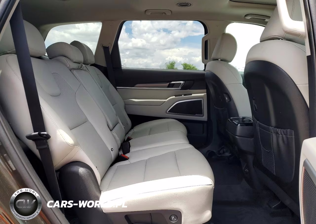 2020 Kia Telluride S VIN:5XYP64HC3LG089208 - 11