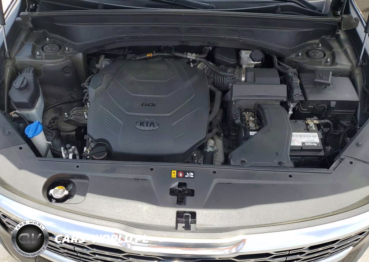 2020 Kia Telluride S VIN:5XYP64HC3LG089208 - 12