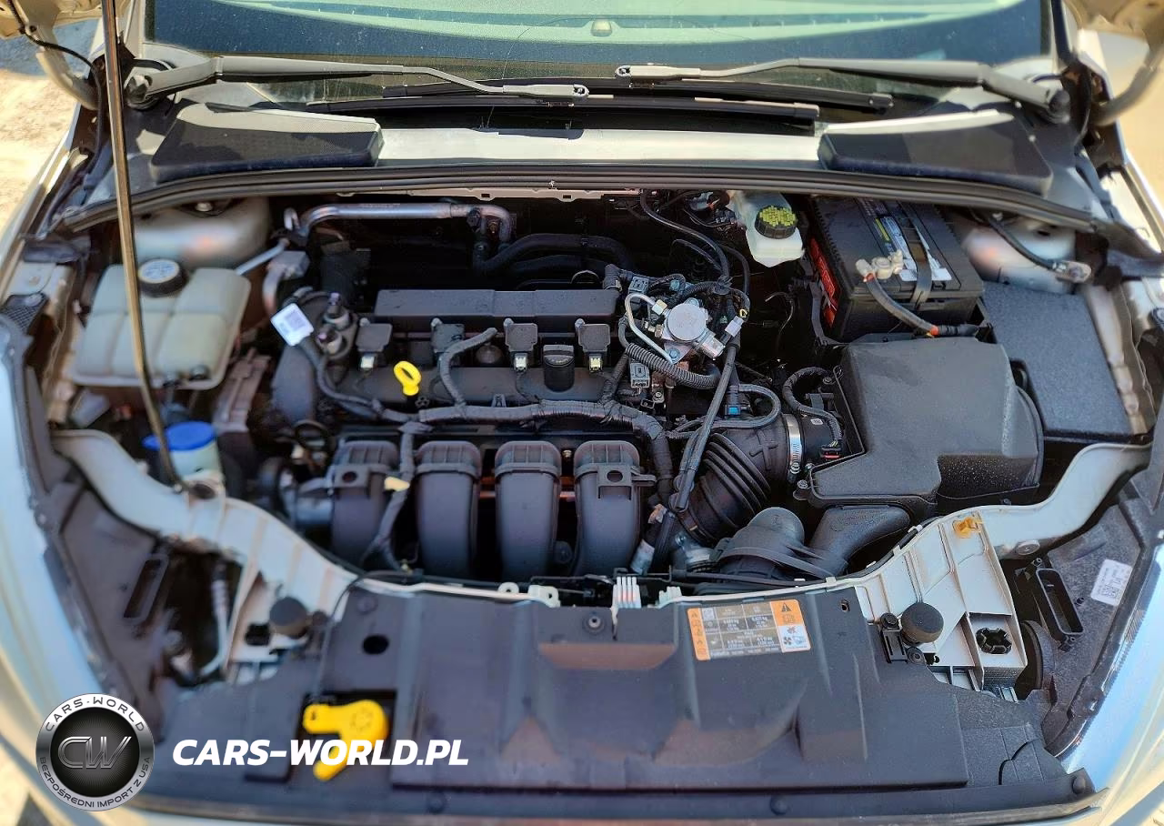 2017 Ford Focus Se VIN:1FADP3K21HL318335 - 11