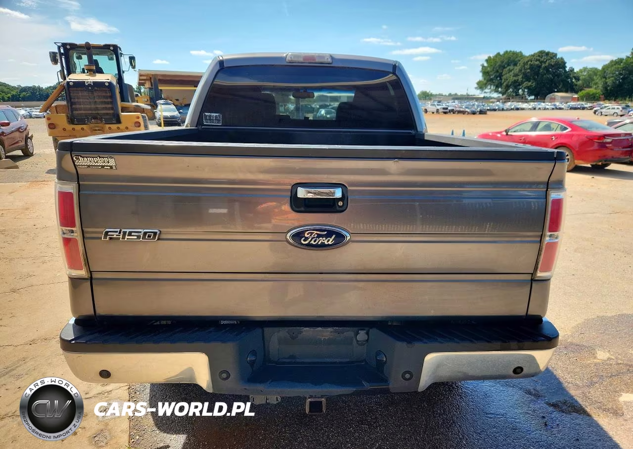 2010 Ford F150 Supercrew VIN:1FTEW1C8XAFD08433 - 6