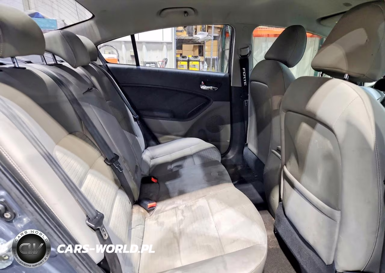 2015 Kia Forte Lx VIN:KNAFX4A67F5380852 - 10