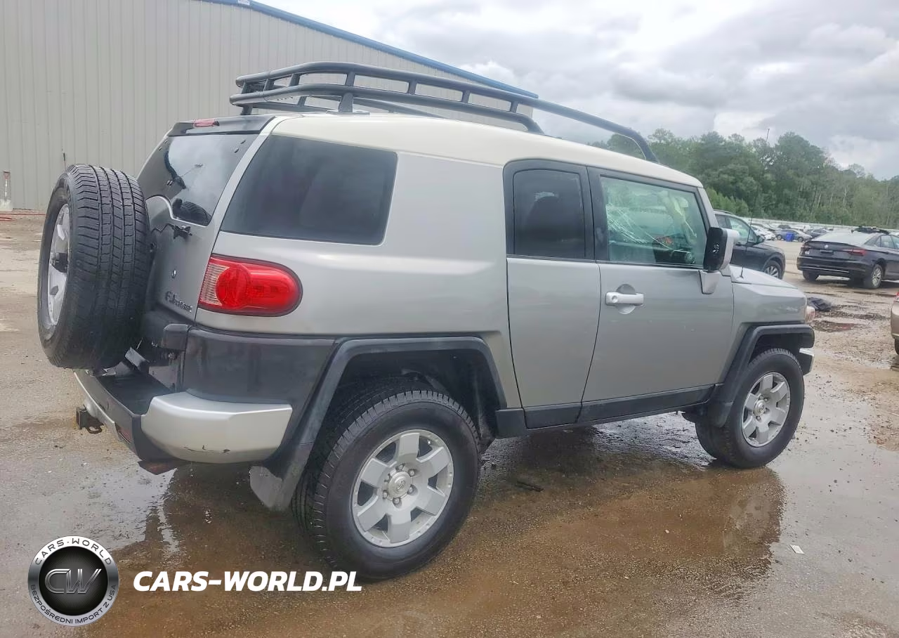 2010 Toyota Fj Cruiser Base VIN:JTEBU4BF4AK077901 - 3