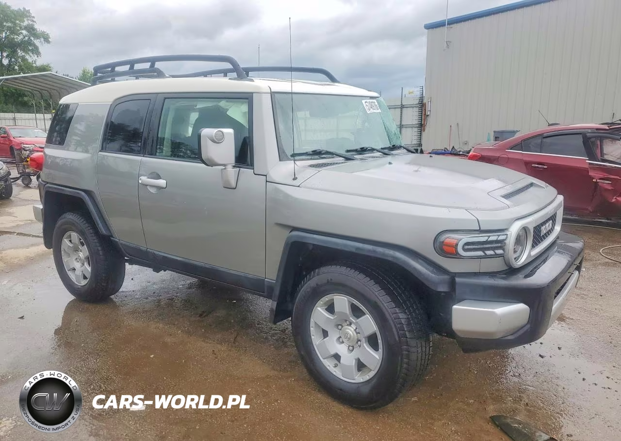 2010 Toyota Fj Cruiser Base VIN:JTEBU4BF4AK077901 - 4