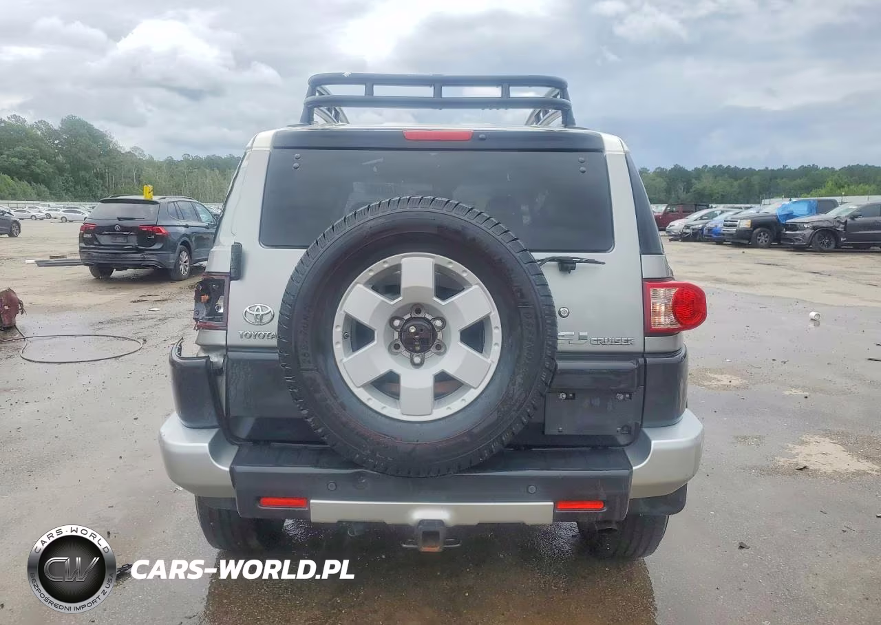 2010 Toyota Fj Cruiser Base VIN:JTEBU4BF4AK077901 - 6