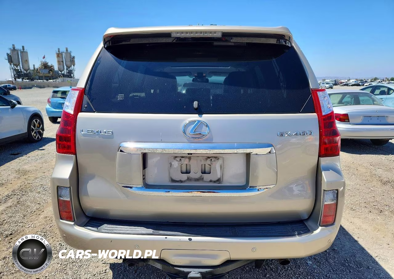 2010 Lexus Gx 460 Premium VIN:JTJJM7FX5A5015231 - 6