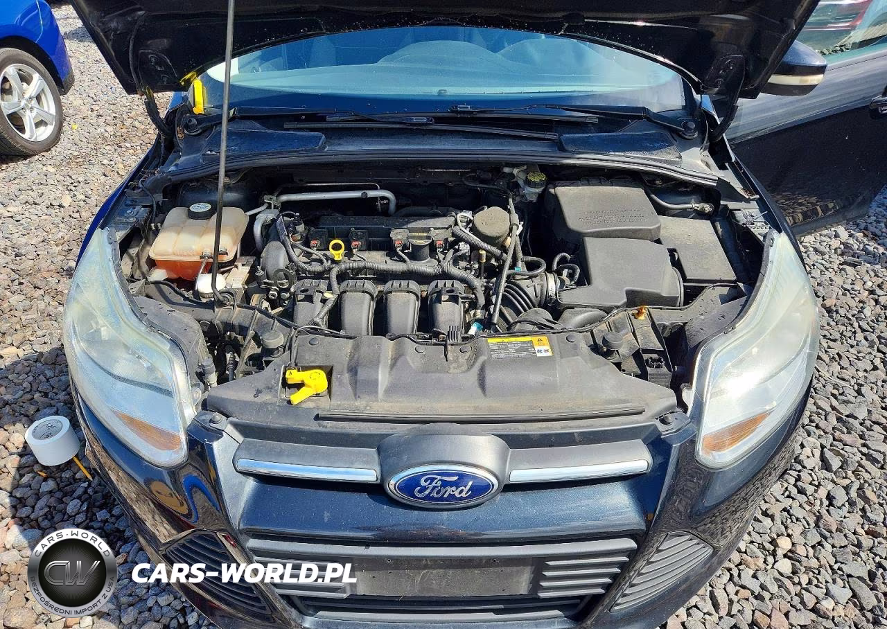 2013 Ford Focus Se VIN:1FADP3K23DL157206 - 11