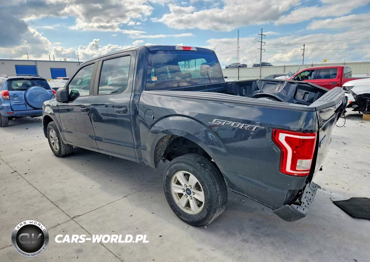 2016 Ford F150 Supercrew VIN:1FTEW1CP3GKF17553 - 2