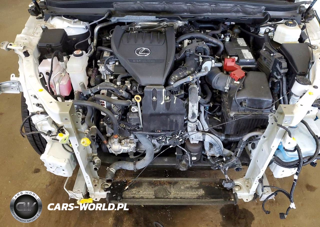 2023 Lexus Rx 350 Premium VIN:2T2BAMCAXPC020849 - 12