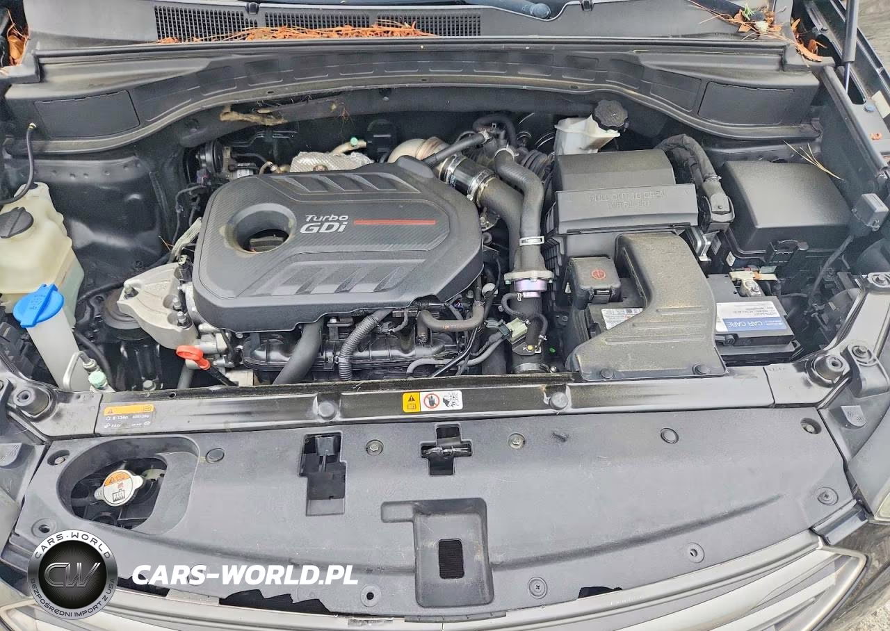 2017 Hyundai Santa Fe Sport 2.0T Ultimate VIN:5XYZW4LA9HG386117 - 12