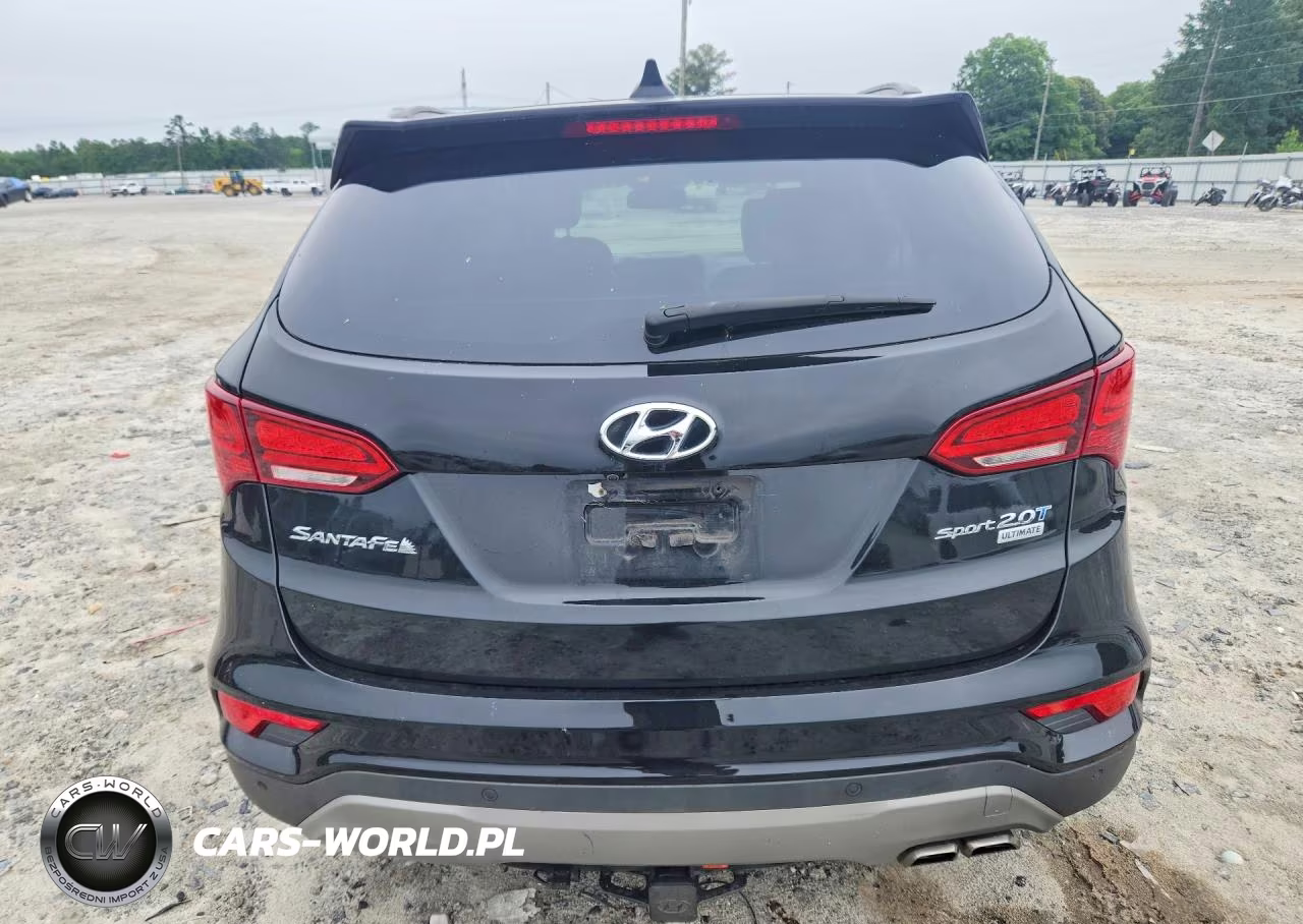 2017 Hyundai Santa Fe Sport 2.0T Ultimate VIN:5XYZW4LA9HG386117 - 6