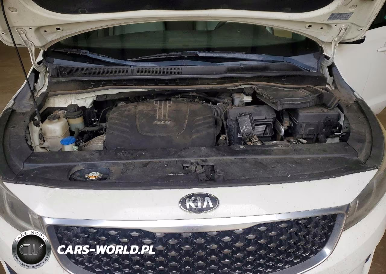 2016 Kia Sedona Lx VIN:KNDMB5C18G6111352 - 12