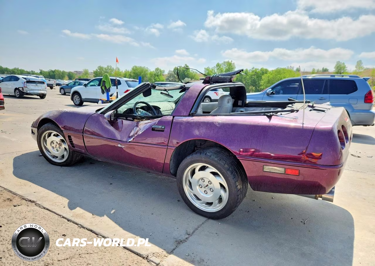 1995 Chevrolet Corvette VIN:1G1YY22P7S5107028 - 2