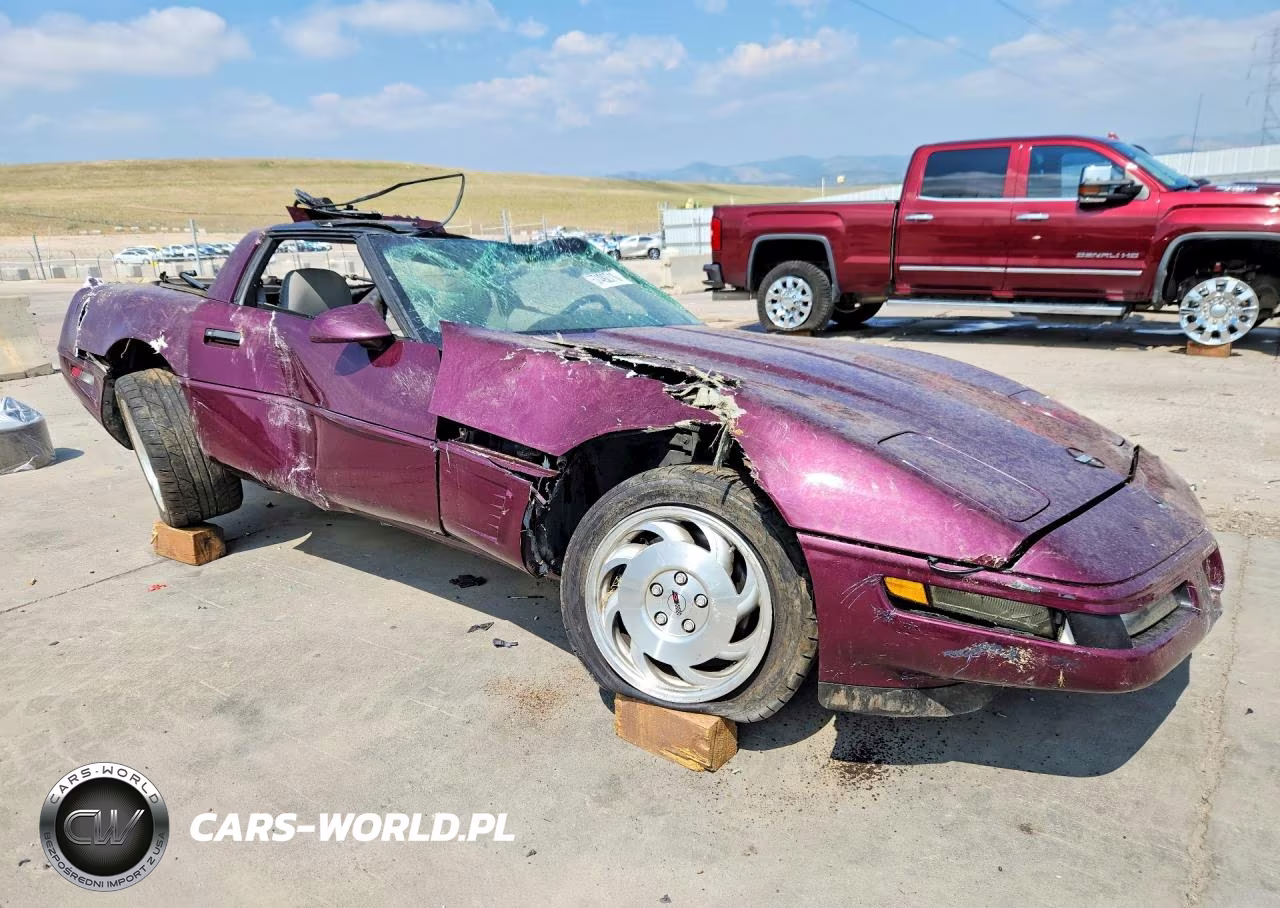 1995 Chevrolet Corvette VIN:1G1YY22P7S5107028 - 4