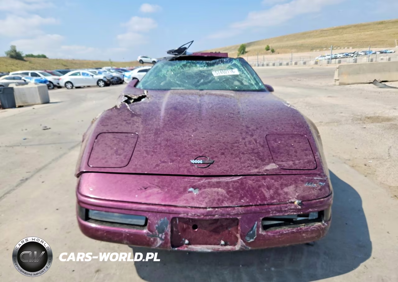 1995 Chevrolet Corvette VIN:1G1YY22P7S5107028 - 5