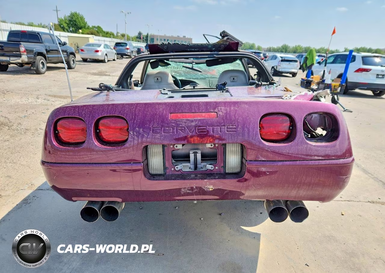 1995 Chevrolet Corvette VIN:1G1YY22P7S5107028 - 6