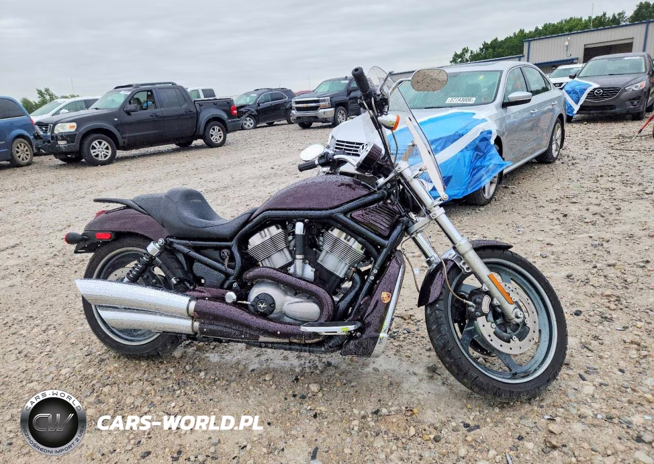 2005 Harley-Davidson Vrscb