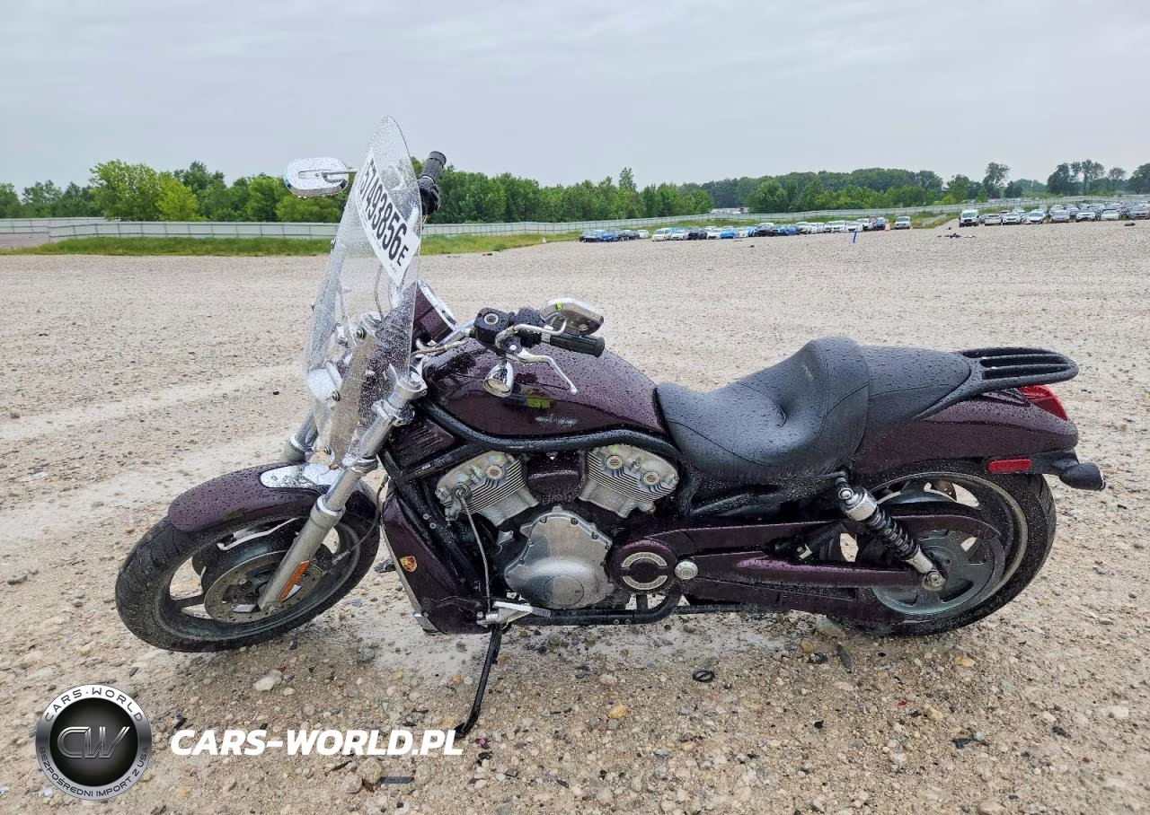 2005 Harley-Davidson Vrscb VIN:1HD1HBZ115K801101 - 3