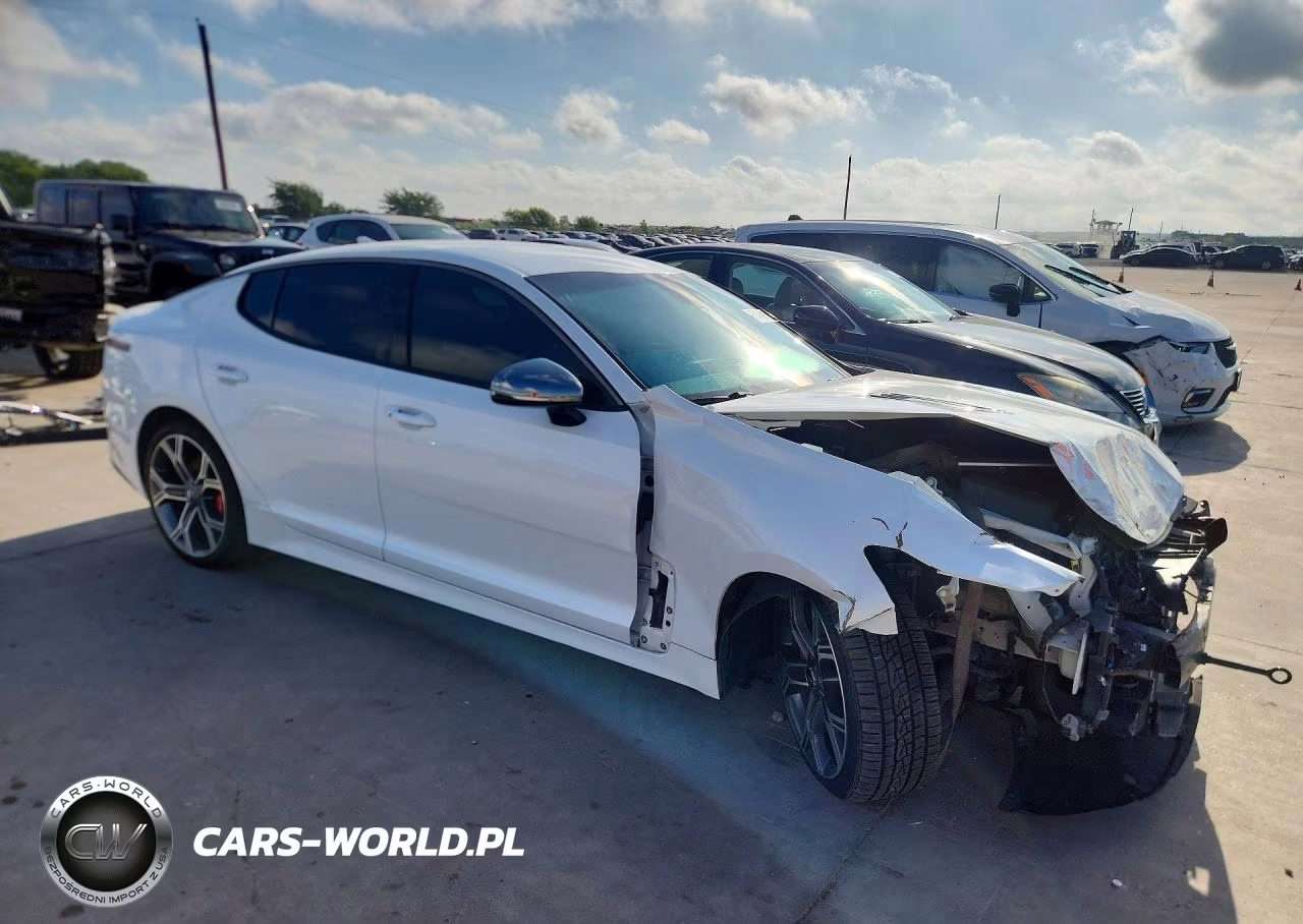 2020 Kia Stinger Gt VIN:KNAE35LC3L6080313 - 4