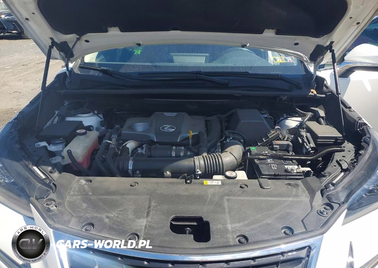 2020 Lexus Nx 300 VIN:JTJGARDZ2L5003382 - 12