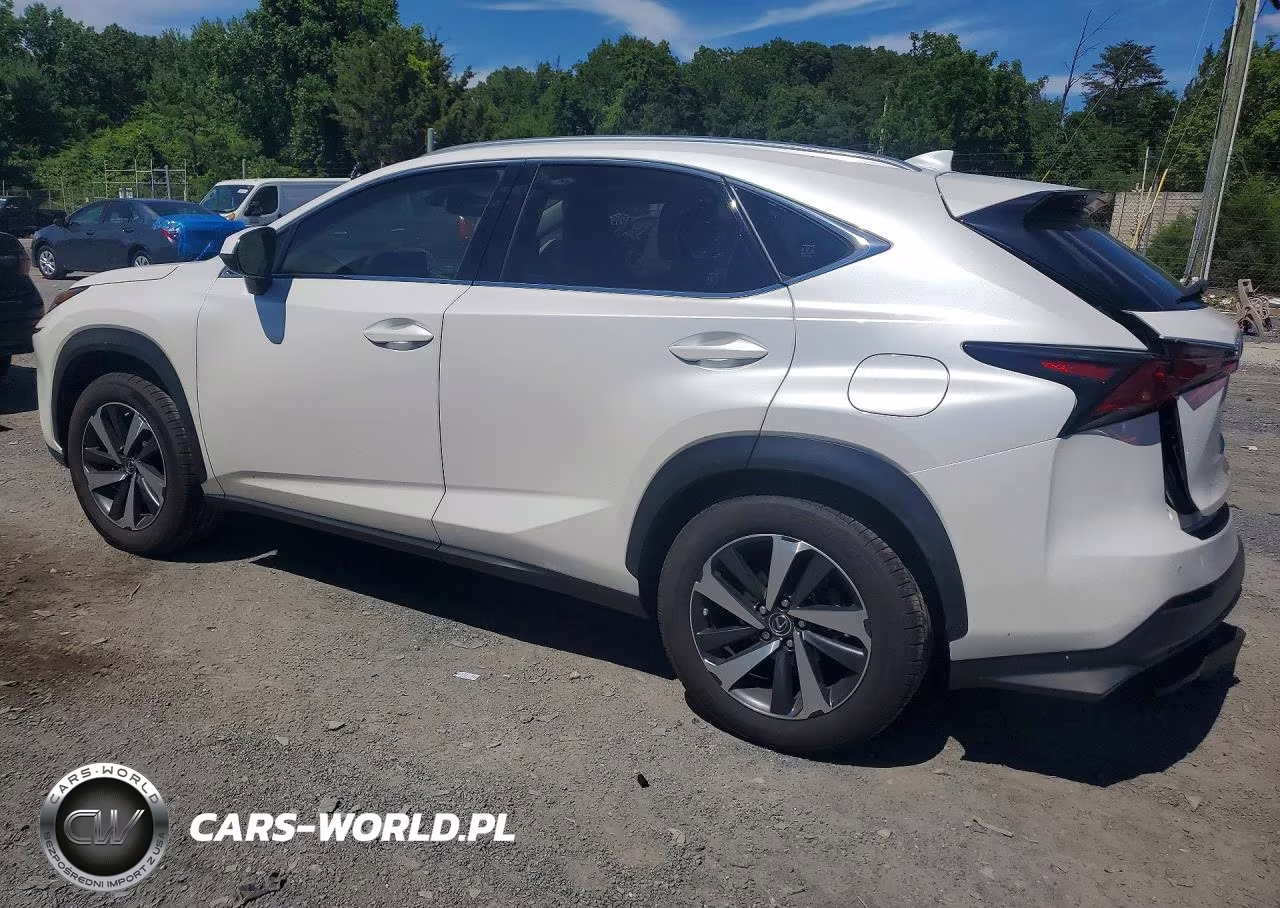 2020 Lexus Nx 300 VIN:JTJGARDZ2L5003382 - 2