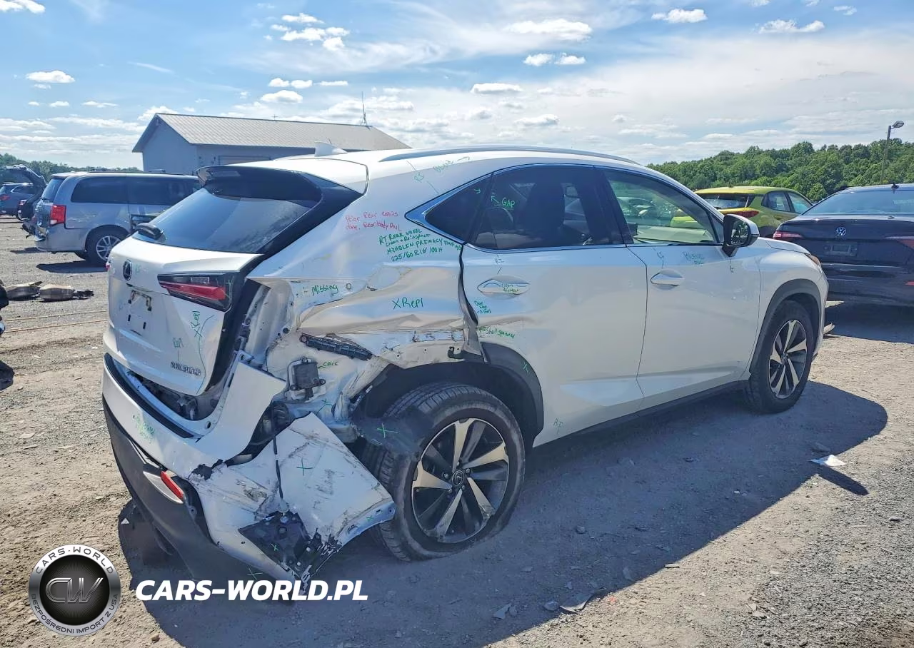 2020 Lexus Nx 300 VIN:JTJGARDZ2L5003382 - 3