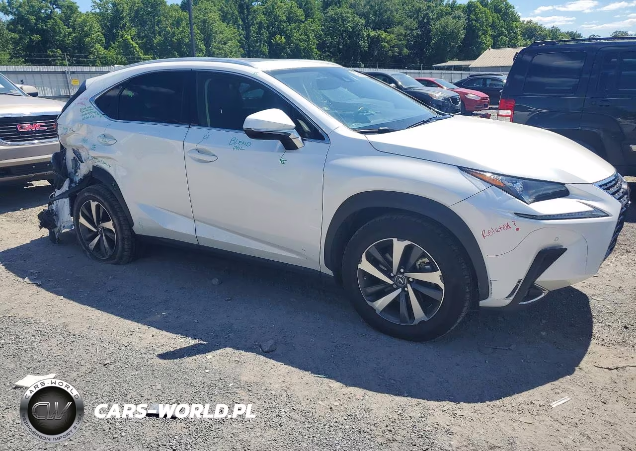 2020 Lexus Nx 300 VIN:JTJGARDZ2L5003382 - 4