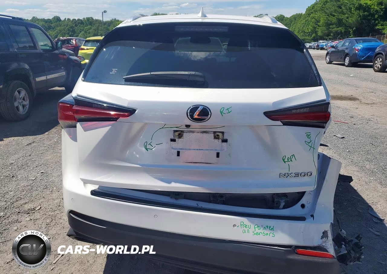 2020 Lexus Nx 300 VIN:JTJGARDZ2L5003382 - 6