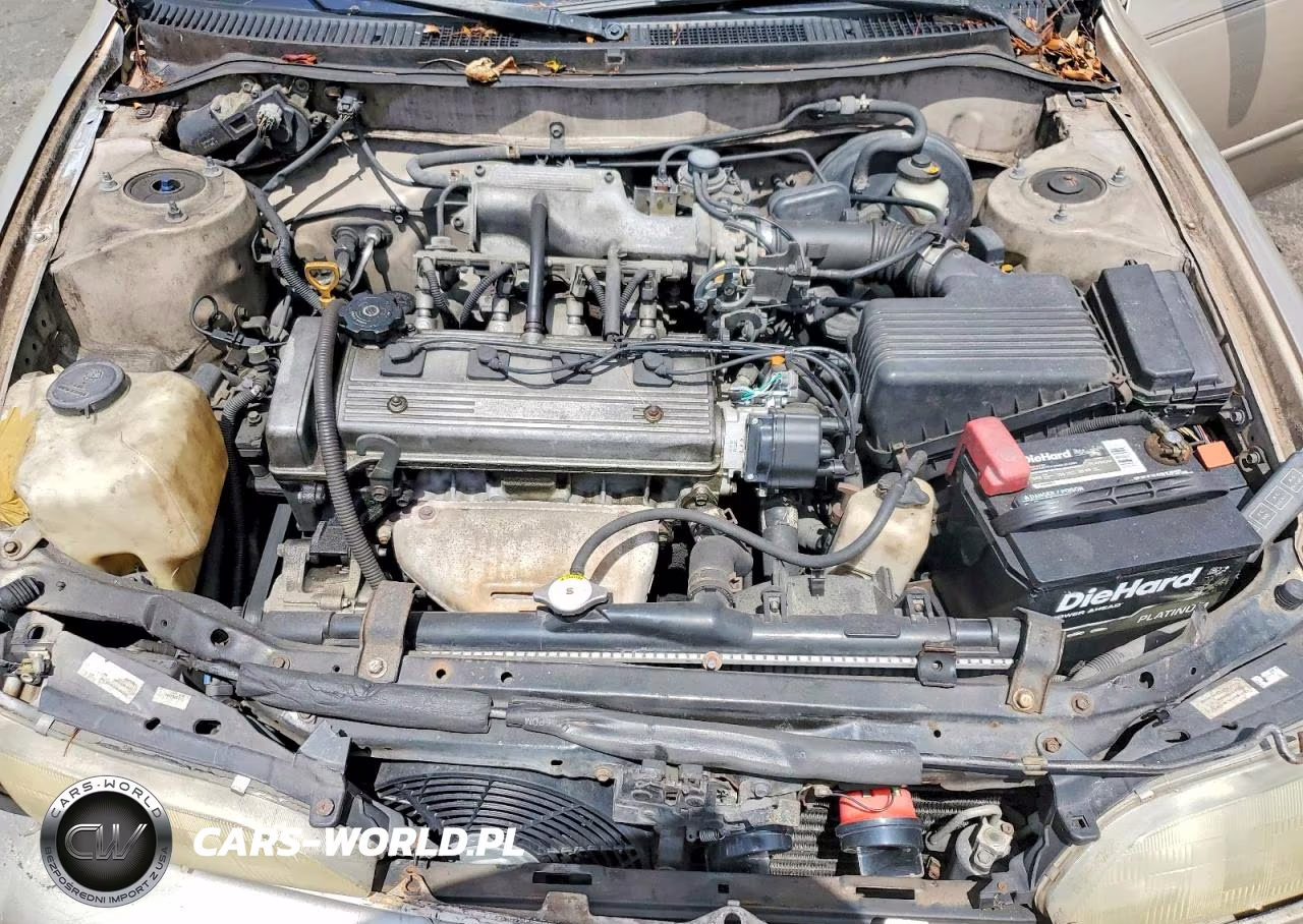 1996 Toyota Corolla Dx VIN:1NXBB02E0TZ437808 - 11
