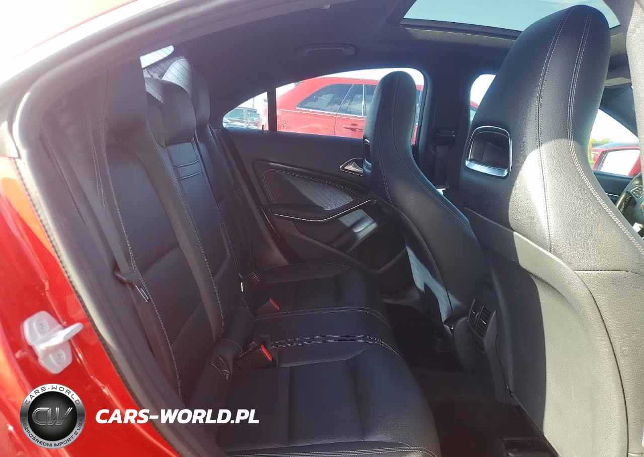 2016 Mercedes-Benz Cla 250 VIN:WDDSJ4EB5GN391737 - 10