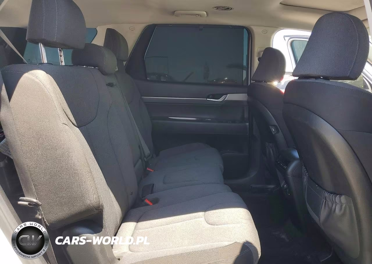 2020 Hyundai Palisade Sel VIN:KM8R34HE8LU083661 - 11