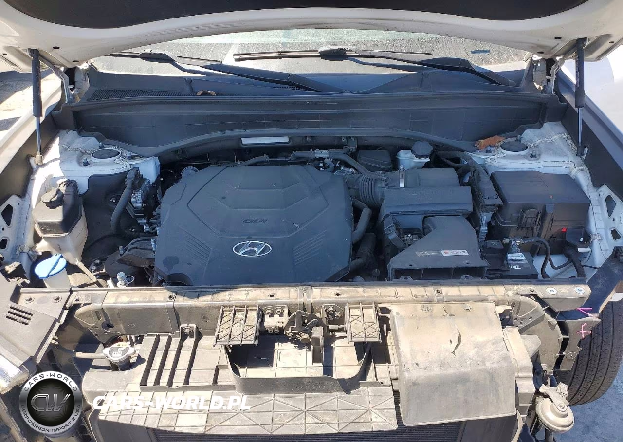 2020 Hyundai Palisade Sel VIN:KM8R34HE8LU083661 - 12