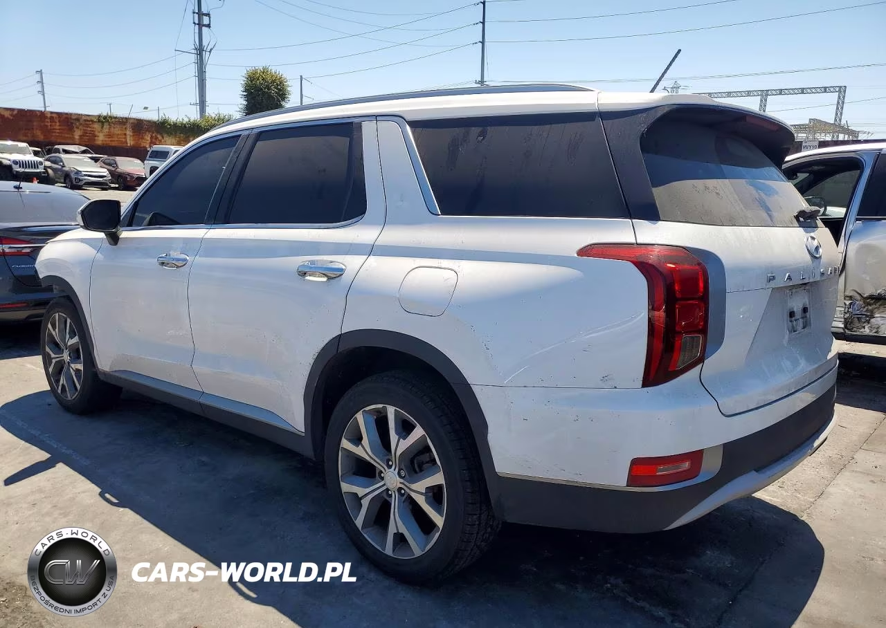 2020 Hyundai Palisade Sel VIN:KM8R34HE8LU083661 - 2