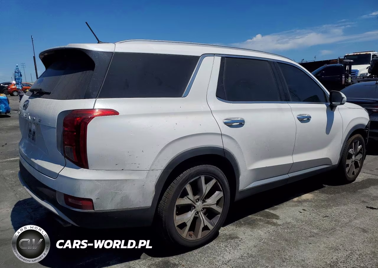 2020 Hyundai Palisade Sel VIN:KM8R34HE8LU083661 - 3