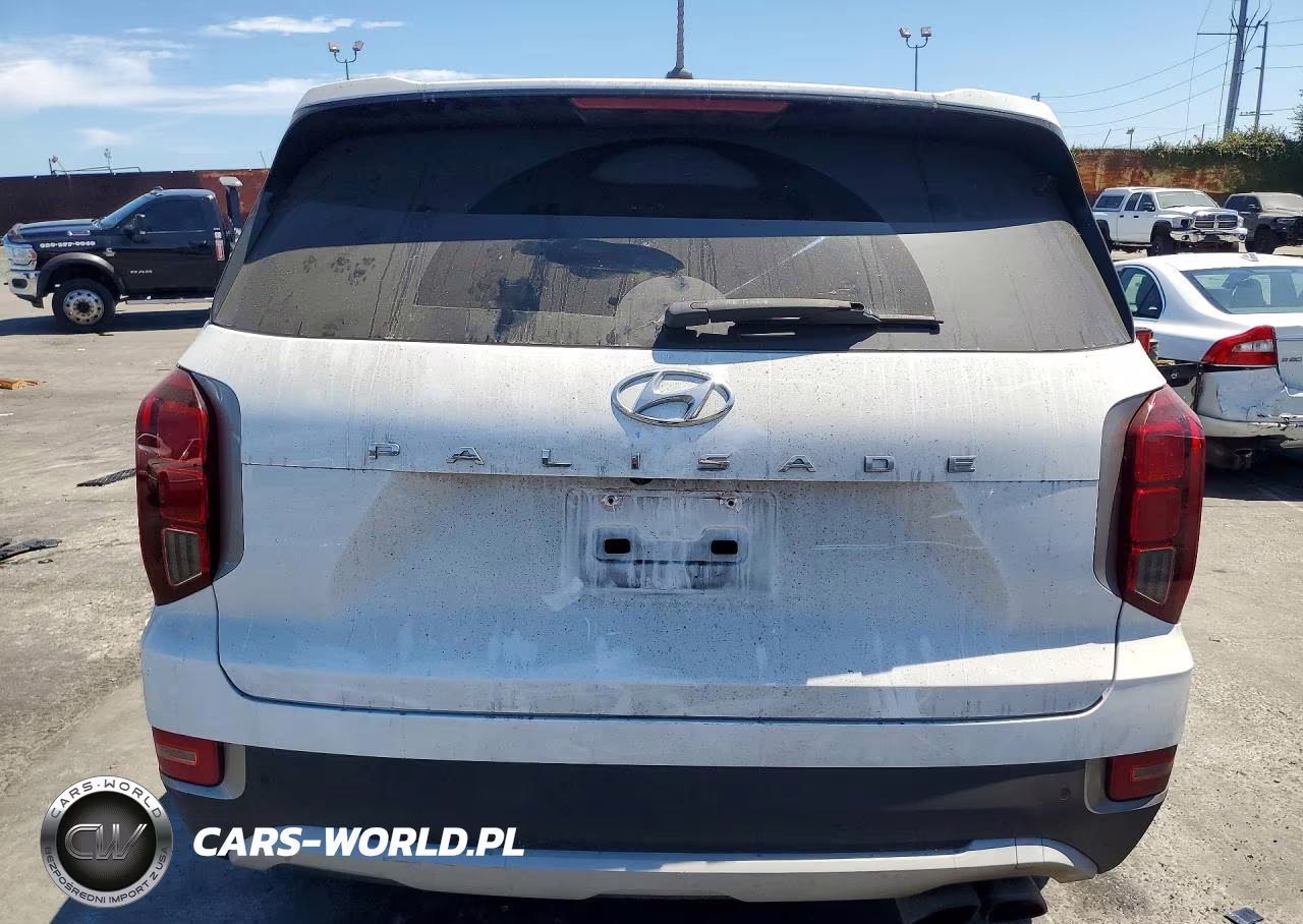 2020 Hyundai Palisade Sel VIN:KM8R34HE8LU083661 - 6
