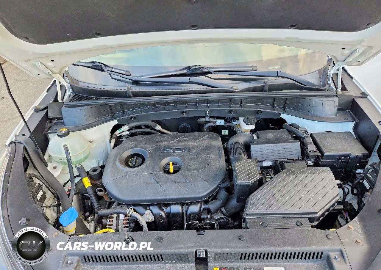 2019 Hyundai Tucson Value VIN:KM8J3CA47KU896206 - 12