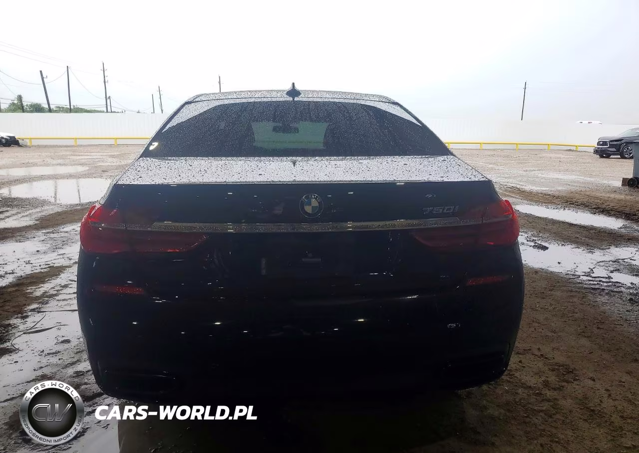 2019 BMW 750 I VIN:WBA7F0C53KGM25692 - 6