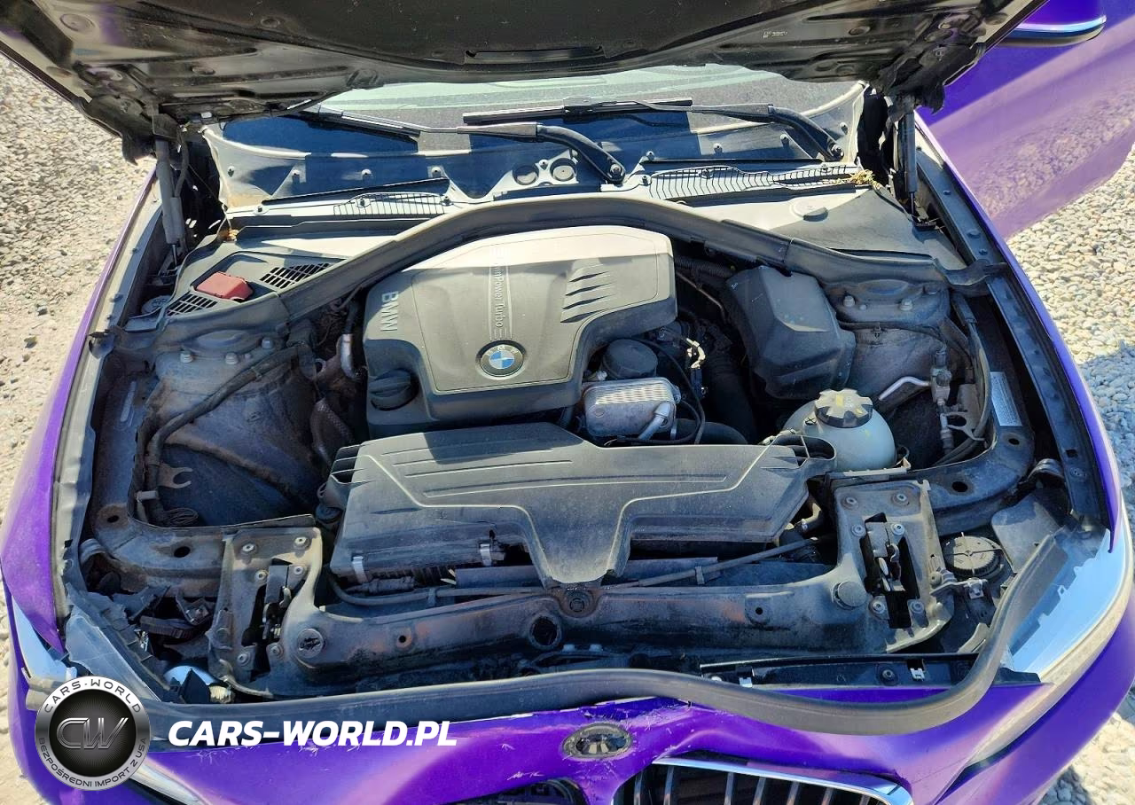 2016 BMW 228 Xi Sulev VIN:WBA1G9C59GV599888 - 11