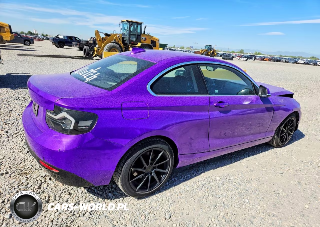 2016 BMW 228 Xi Sulev VIN:WBA1G9C59GV599888 - 3