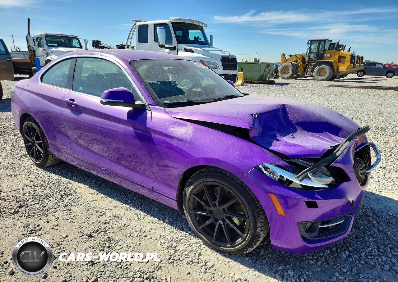 2016 BMW 228 Xi Sulev VIN:WBA1G9C59GV599888 - 4