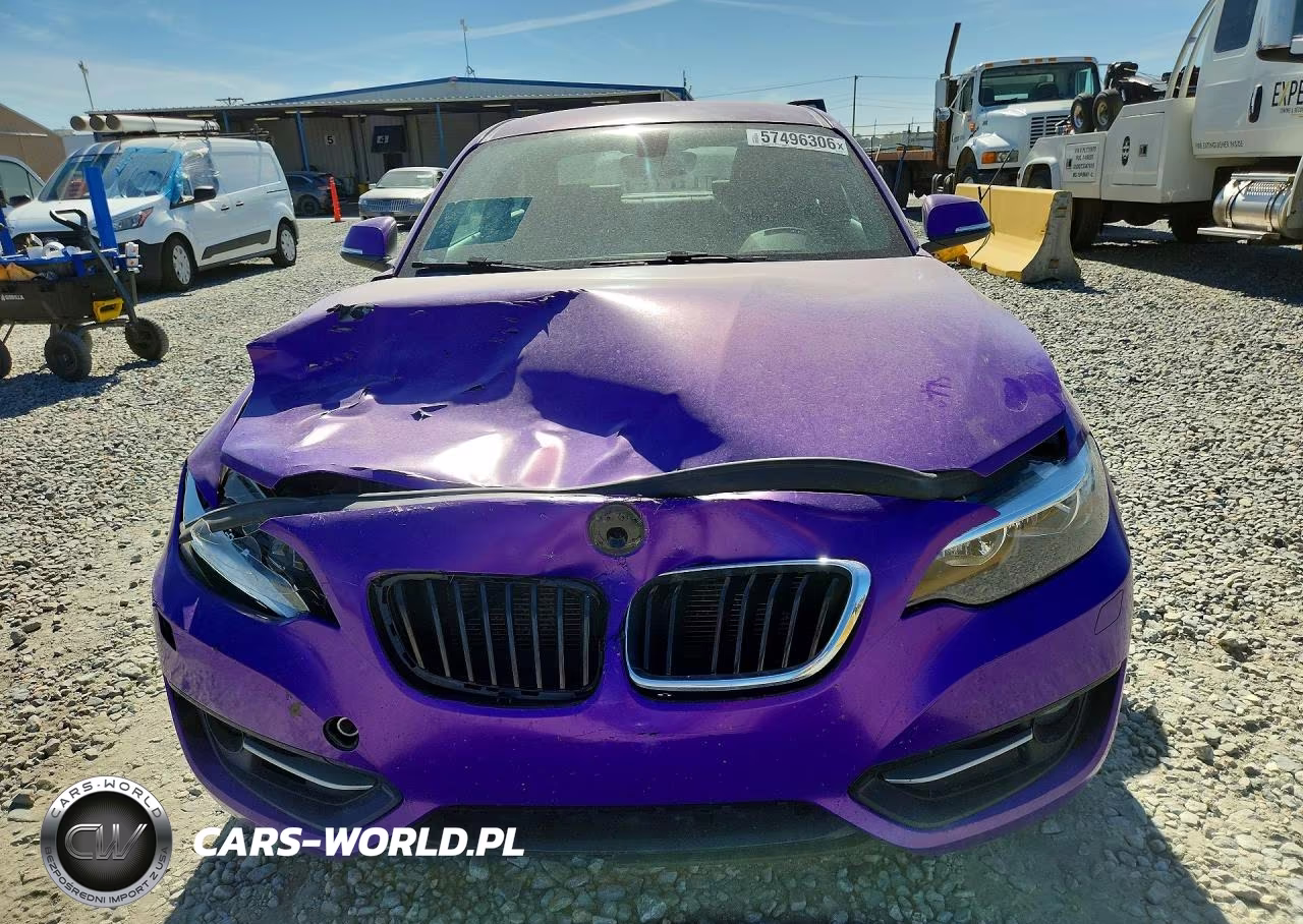 2016 BMW 228 Xi Sulev VIN:WBA1G9C59GV599888 - 5