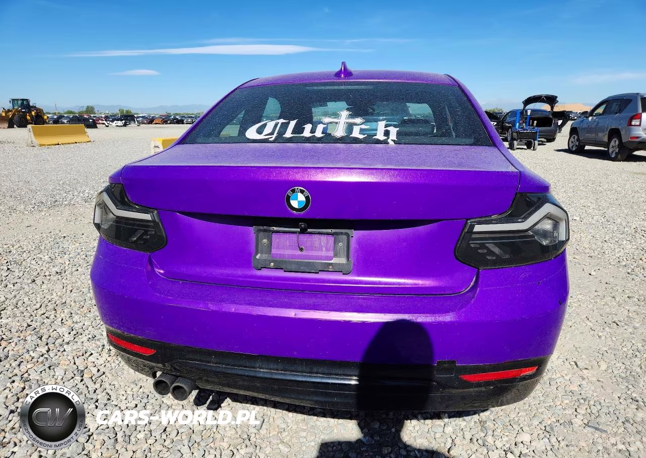 2016 BMW 228 Xi Sulev VIN:WBA1G9C59GV599888 - 6
