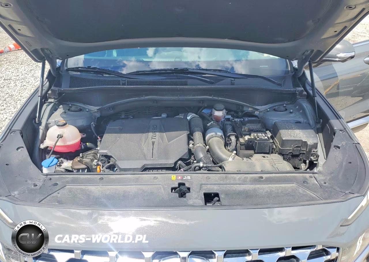 2021 Hyundai Santa Fe Limited VIN:5NMS44AL6MH333399 - 12
