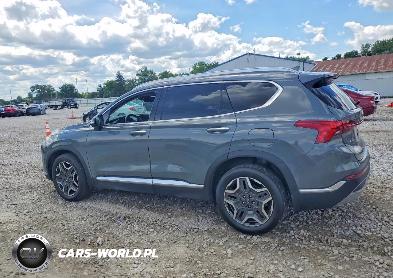 2021 Hyundai Santa Fe Limited VIN:5NMS44AL6MH333399 - 2